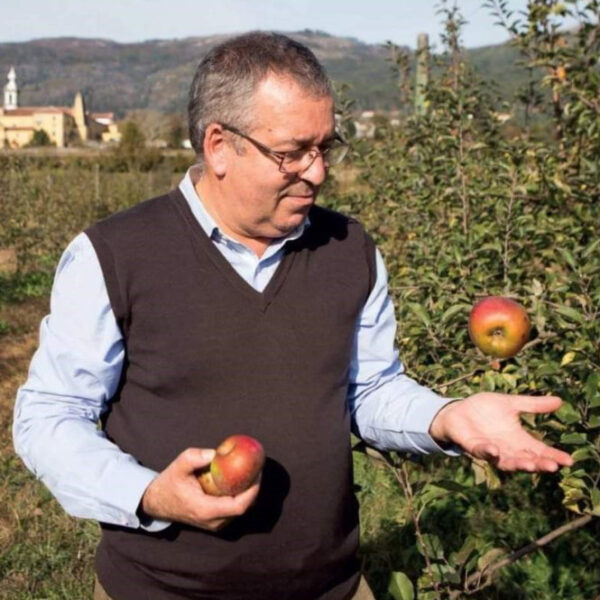 Oficina de Poda e Enxertia de Citrinos nas Agroflorestas do Freixo do Meio