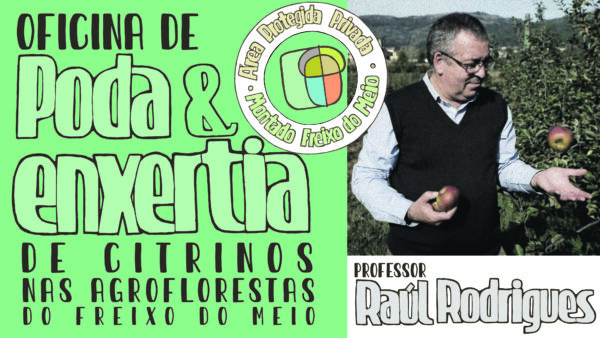 Oficina de Poda e Enxertia de Citrinos nas Agroflorestas do Freixo do Meio - Image 5